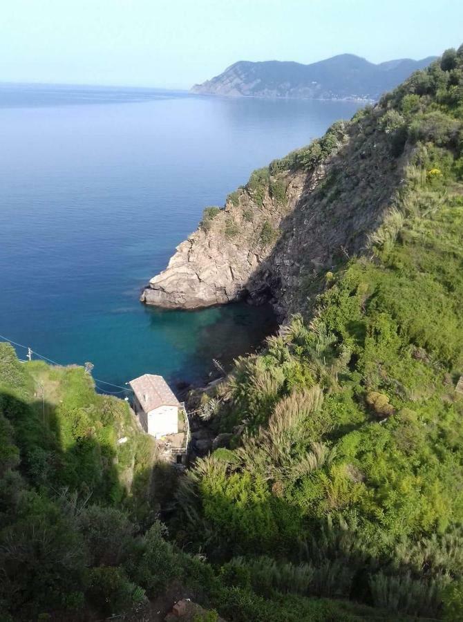 Cecio 5 Terre Rooms Corniglia Eksteriør bilde